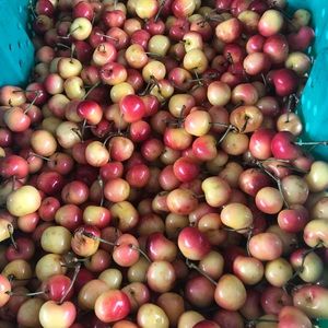 Meet your Posher, Sonia